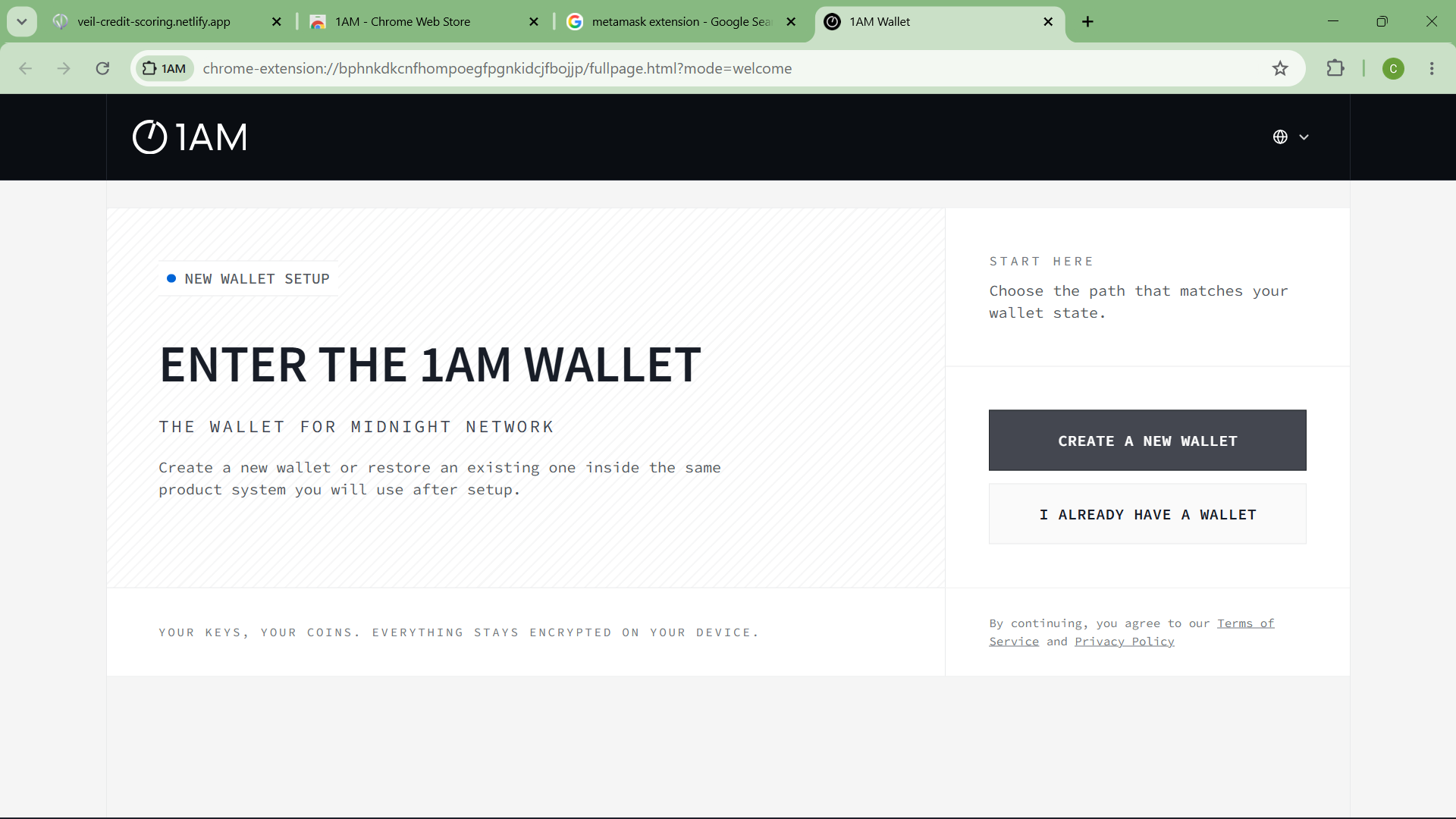1AM Wallet new wallet setup screen